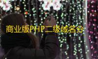 商业版PHP二级域名分发系统源码-多套前端模板与易支付接口支持