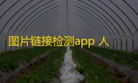 图片链接检测app 人气热度：35℃